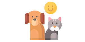 Thumbnail for the post titled: Animaux errants